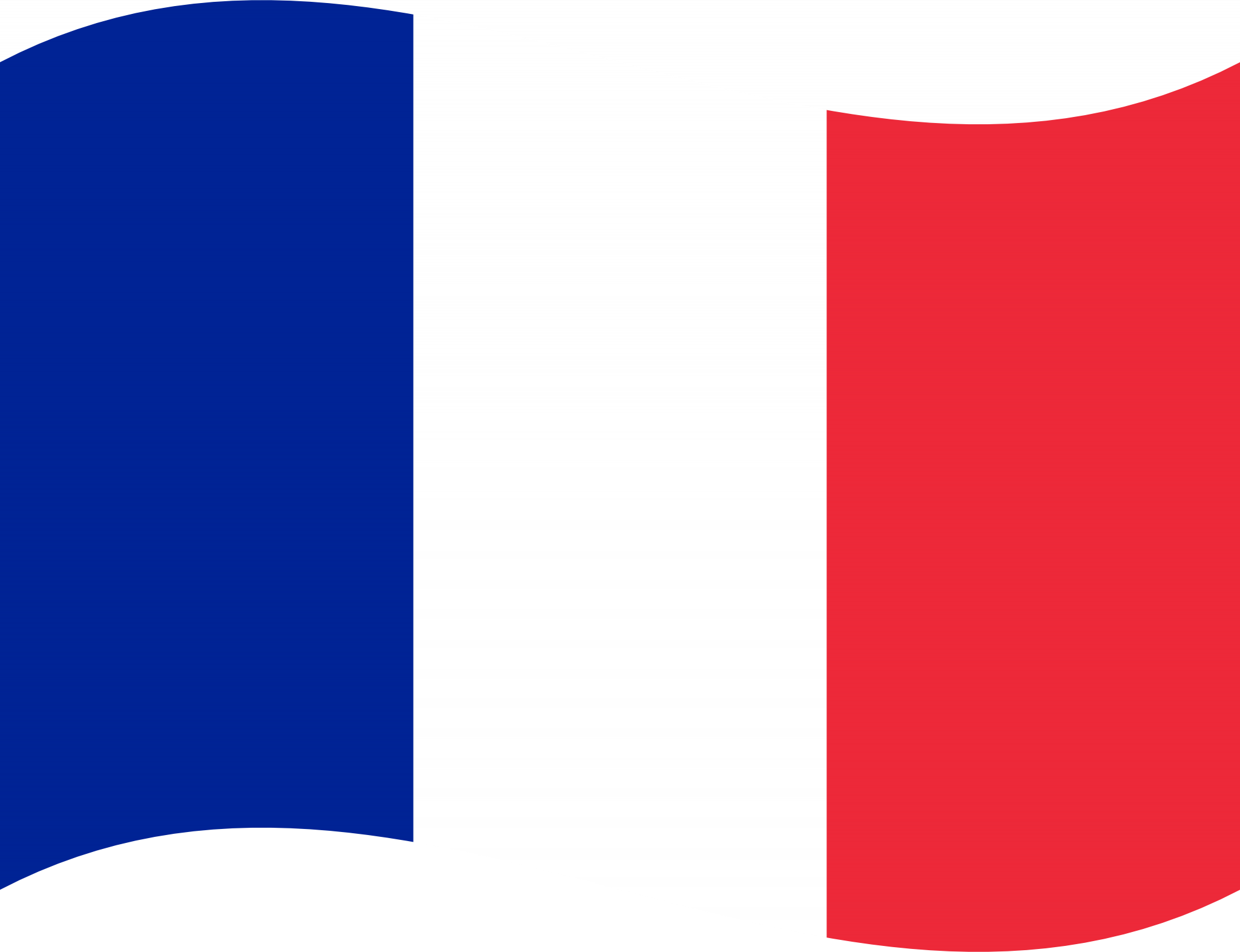 Flag of France